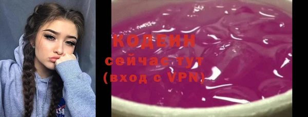 прущие грибы Елабуга