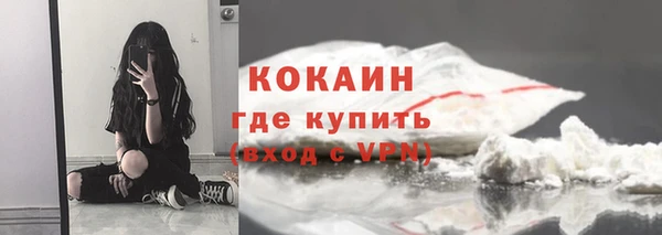 spice Краснослободск