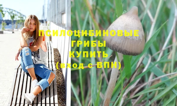 2c-b Красноперекопск