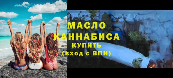 индика Елизово