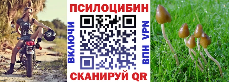 Галлюциногенные грибы ЛСД  где купить наркоту  Шацк 
